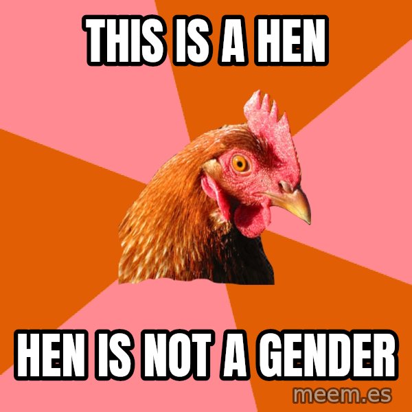 Anti Joke Chicken meme: This is a Hen / Hen is not a Gender