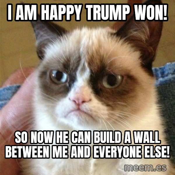 Grumpy Cat  meme: I AM HAPPY TRUMP WON! / SO NOW HE CAN BUILD A WALL BETWEEN ME  AND EVERYONE ELSE!