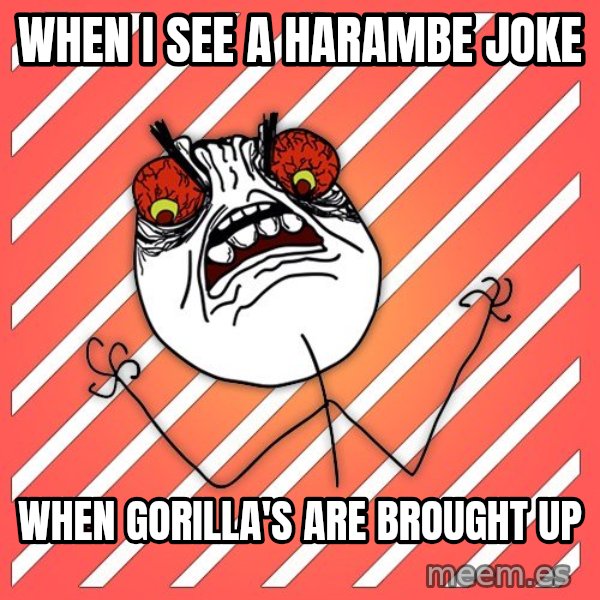 iHate meme: when i see a harambe joke / when gorilla's are brought up