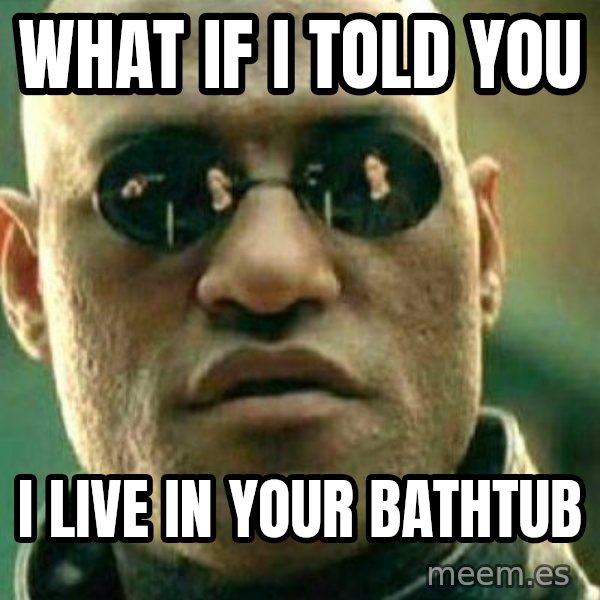 What If I Told You meme: what if i told you / i live in your bathtub
