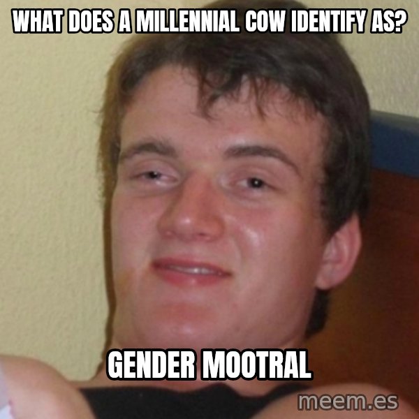 Stoner Stanley meme: what does a MILLENNIAL cow identify as? / gender mootral