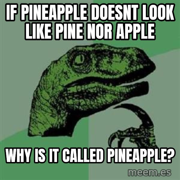 Philosoraptor meme: if pineapple doesnt look like pine nor apple / why is it called pineapple?