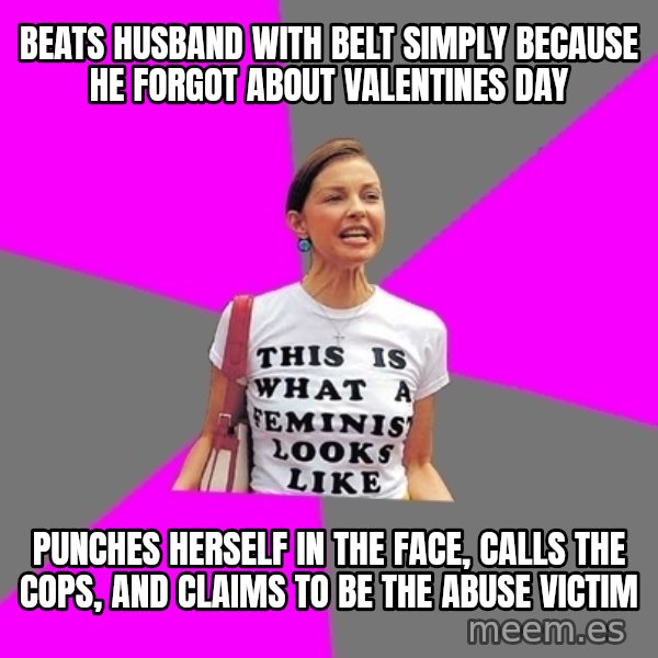 Feminist Cunt meme: Beats husband with belt simply because he forgot about valentines day / Punches herself in the face, calls the cops, and claims to be the abuse victim