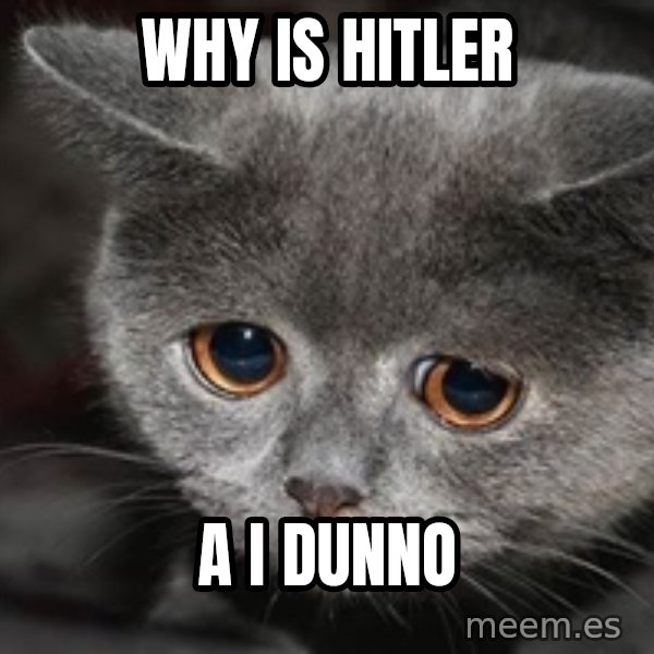 Sadcat meme: why is hitler / a i dunno