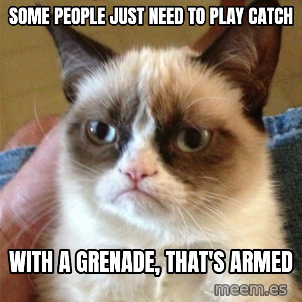Grumpy Cat  meme: Some people just need to play catch / With a grenade, that's armed
