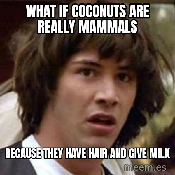 Conspiracy Keanu meme: What if coconuts are really mammals / because they have hair and give milk