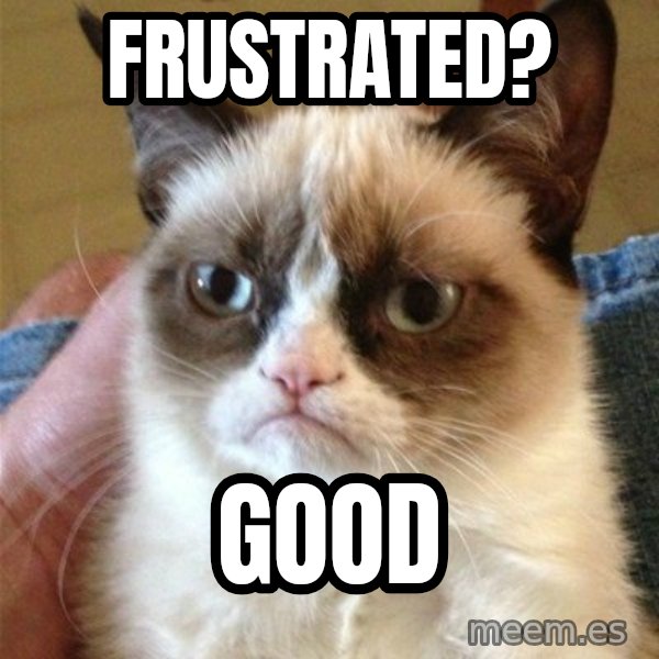 Grumpy Cat  meme: frustrated? / good