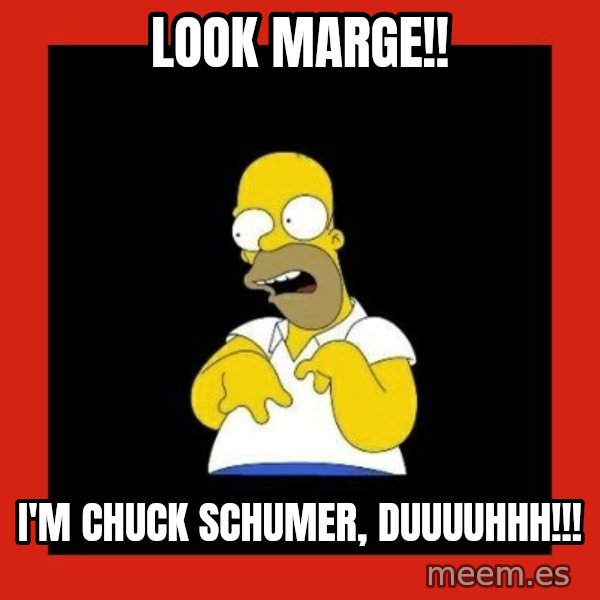 Homer retard meme: Look Marge!! / I'm Chuck Schumer, duuuuhhh!!!