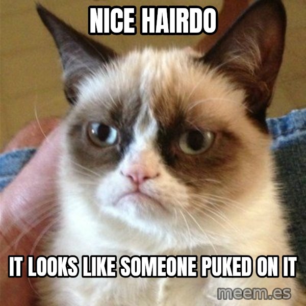 Grumpy Cat  meme: nice hairdo / it looks like someone puked on it