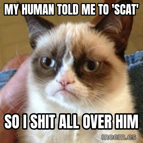 Grumpy Cat  meme: my human told me to 'scat' / so i shit all over him