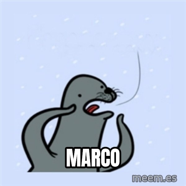 gay seal meme: MARCO