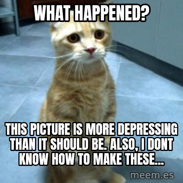 Sadcat meme: what happened? / this picture is more depressing than it should be. also, i dont know how to make these...