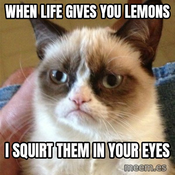 Grumpy Cat  meme: when life gives you lemons / i squirt them in your eyes