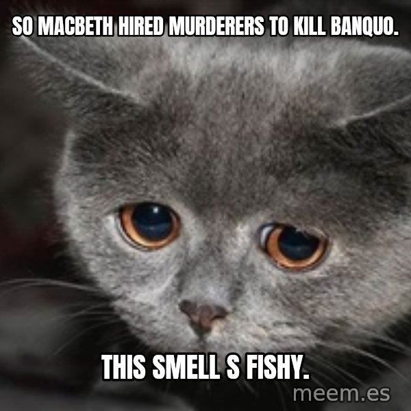 Sadcat meme: So Macbeth hired murderers to kill Banquo. / This smell s Fishy.