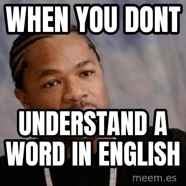 Yo Dawg meme: when you dont / understand a word in english