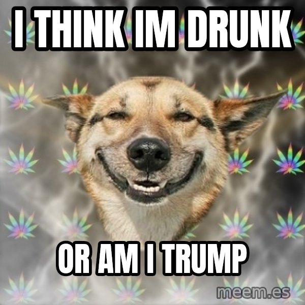 Stoner Dog meme: i think im drunk / or am i trump