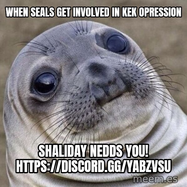 Awkward Seal meme: when seals get involved in kek opression / shaliday nedds you! https://discord.gg/YaBzvsU