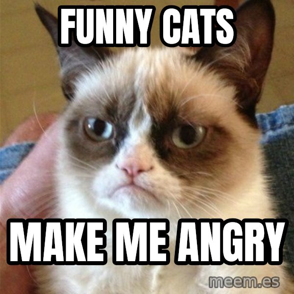 Grumpy Cat  meme: funny cats / make me angry