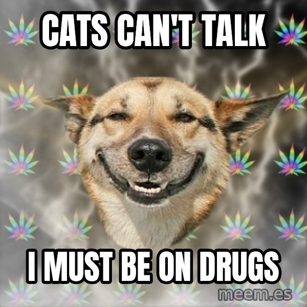 Stoner Dog meme: cats can't talk / i must be on drugs
