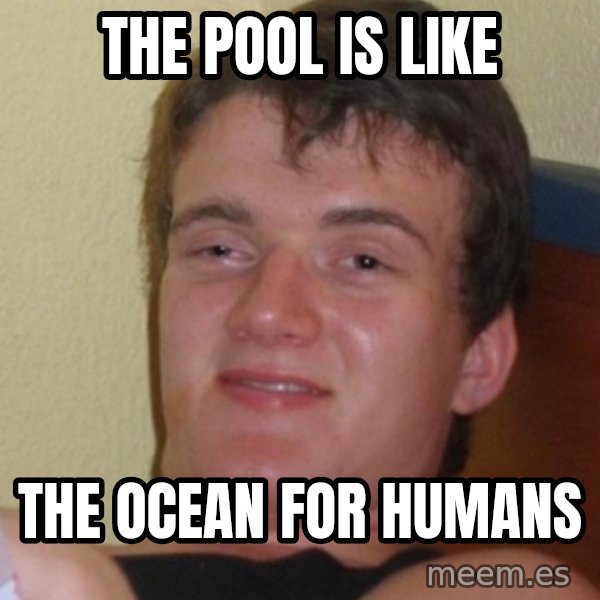 Stoner Stanley meme: The pool is like / The ocean for humans