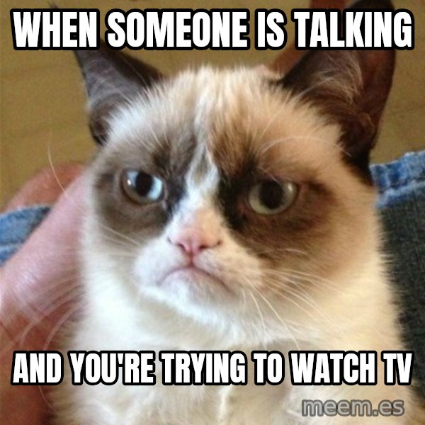 Grumpy Cat  meme: When someone is talking / AND YOU'RE TRYING TO WATCH TV