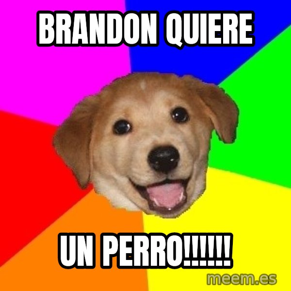 Advice Dog meme: Brandon Quiere / Un Perro!!!!!!