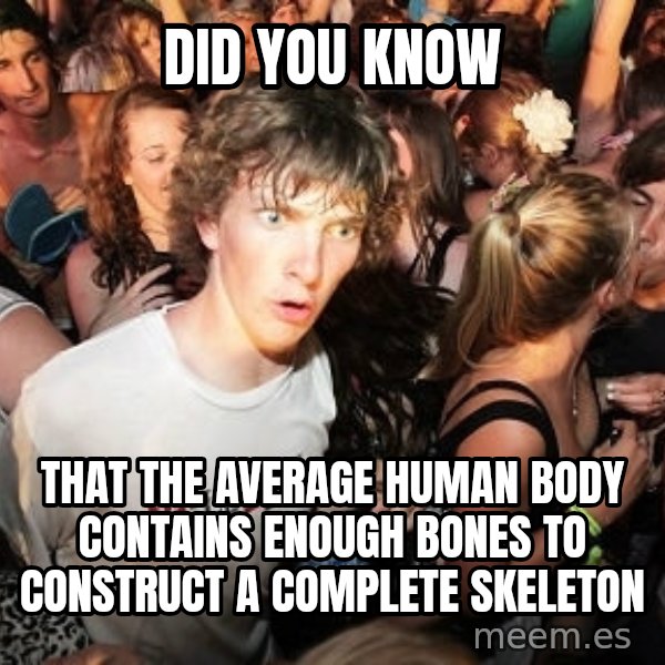 Sudden Realization Ralph meme: DID YOU KNOw / that the average human body  contains enough bones to construct a complete skeleton