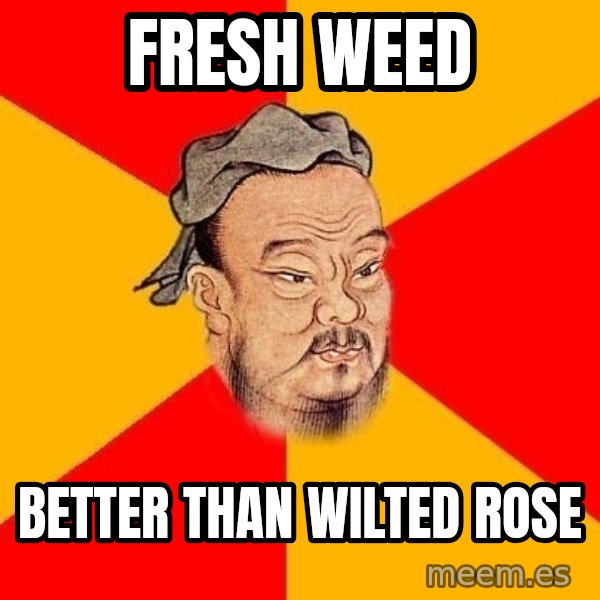 Wise Confucius meme: fresh weed / better than wilted rose