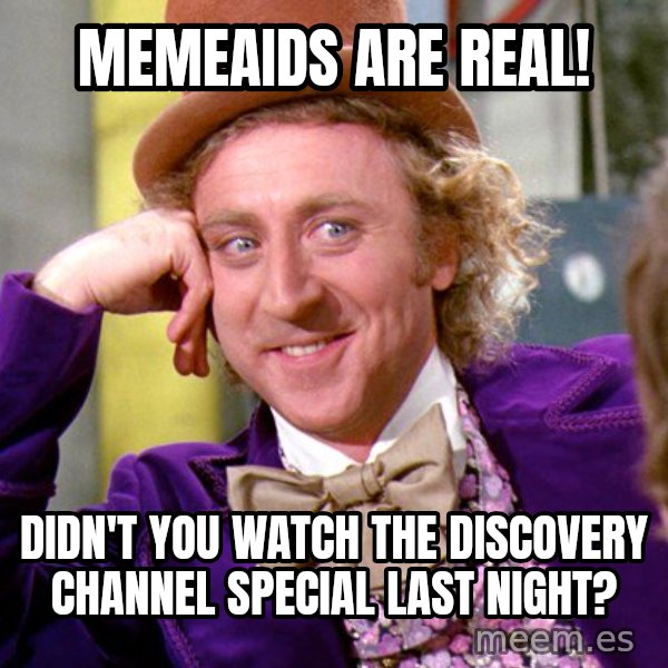 Willy Wonka meme: memeaids are real! / didn't you watch the discovery channel special last night?