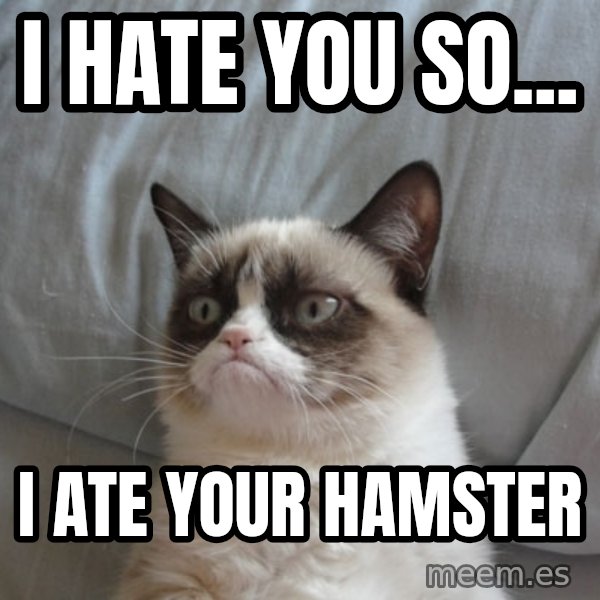 Grumpy Cat  meme: i hate you so... / i ate your hamster