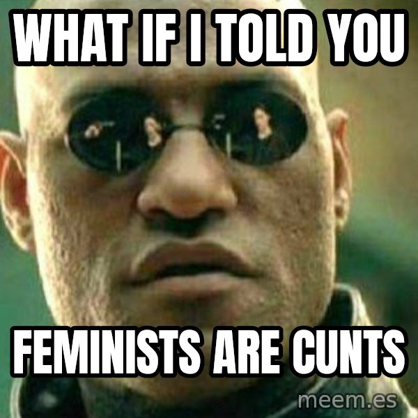 What If I Told You meme: what if i told you / feminists are cunts