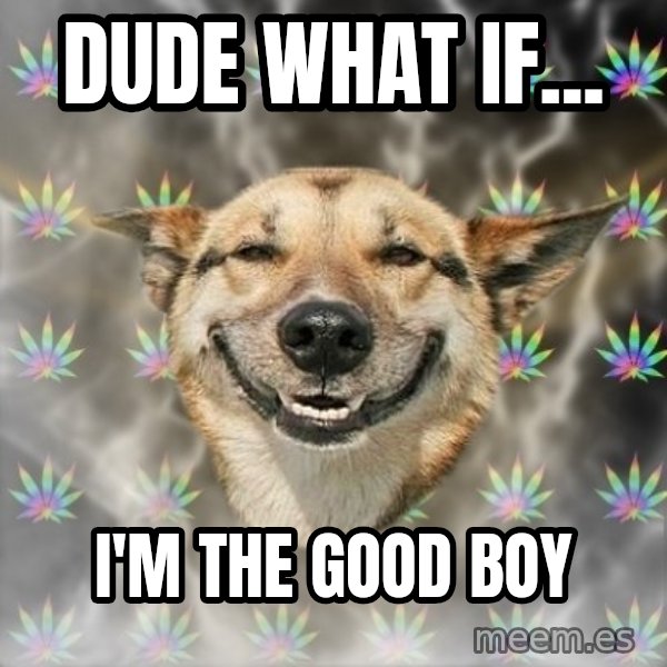 Stoner Dog meme: dude what if... / i'm the good boy