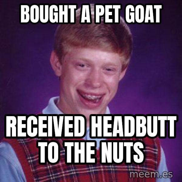 Bad Luck Brian meme: bought a pet goat / Received headbutt to the nuts
