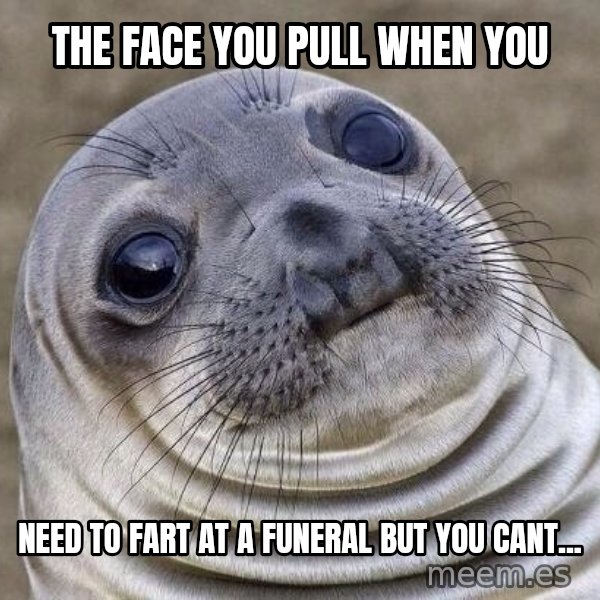 Awkward Seal meme: the face you pull when you / need  to fart at a funeral but you cant...