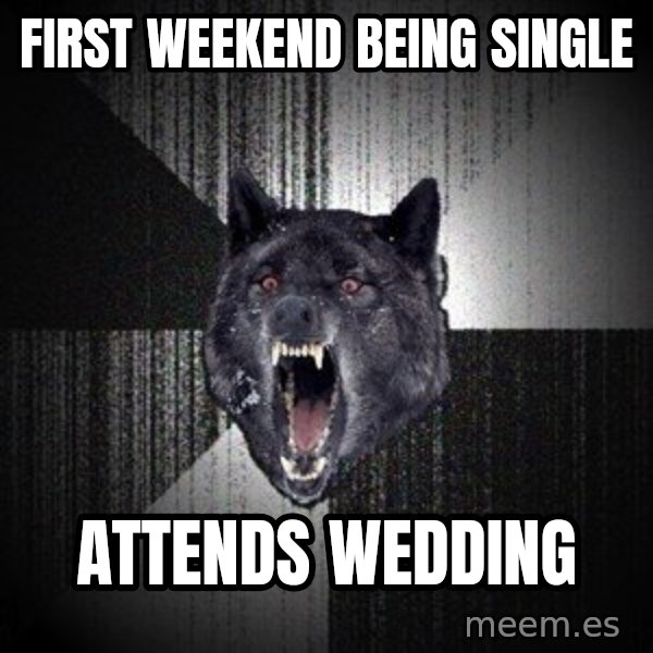 Insanity Wolf meme: FIRST WEEKEND BEING SINGLE / ATTENDS WEDDING