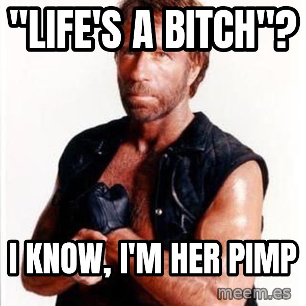 Chuck Norris  meme: "life's a bitch"? / i know, i'm her pimp