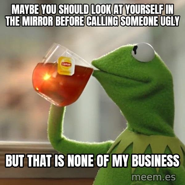 Kermit The Frog Drinking Tea meme: Maybe you should look at yourself in the mirror before calling someone ugly / But that is none of my business