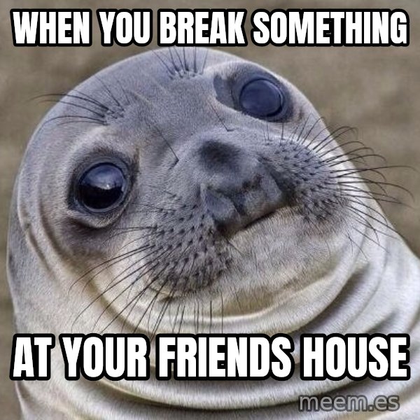 Awkward Seal meme: When yOu break something / At your friends house