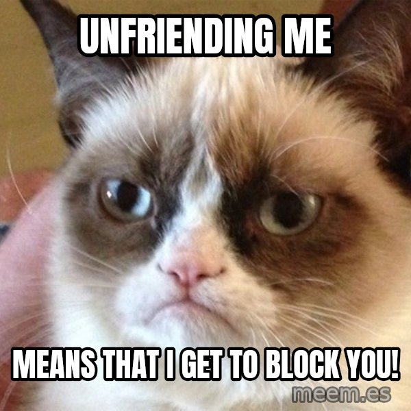 Angry Cat Meme meme: Unfriending me / Means That I get to Block You!