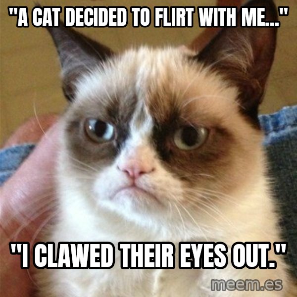 Grumpy Cat  meme: "A CAT DECIDED TO FLIRT WITH ME..." / "I CLAWED THEIR EYES OUT."