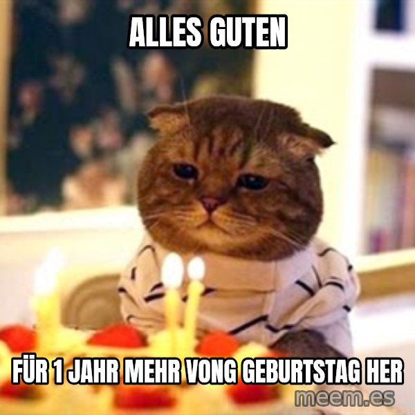 Birthday Cat meme: Alles guten / Für 1 Jahr Mehr Vong Geburtstag her