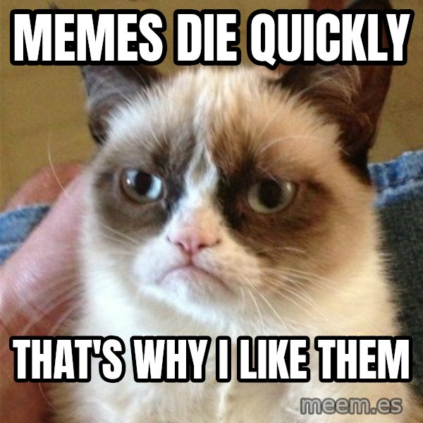 Grumpy Cat  meme: memes die quickly / that's why i like them