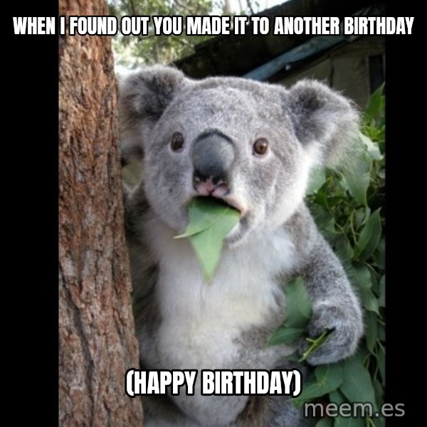 Koala can't believe it meme: When i found out you made it to another birthday / (happy birthday)