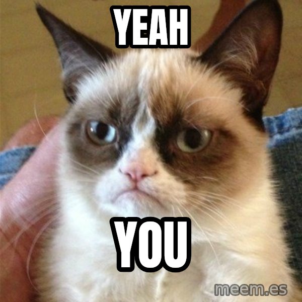Grumpy Cat  meme: yeah / you