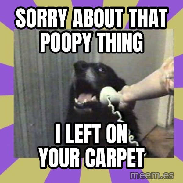 Yes, this is dog! meme: sorry about that poopy  thing / i  left on your carpet