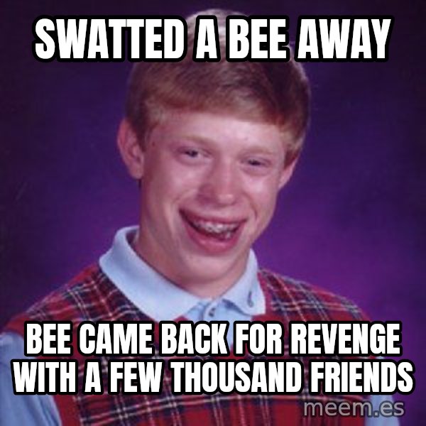 Bad Luck Brian meme: swatted a bee away / bee came back for revenge with a few thousand friends