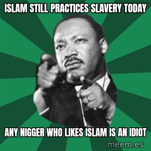 Martin Luther King jr.  meme: islam still practices slavery today / any nigger who likes islam is an idiot