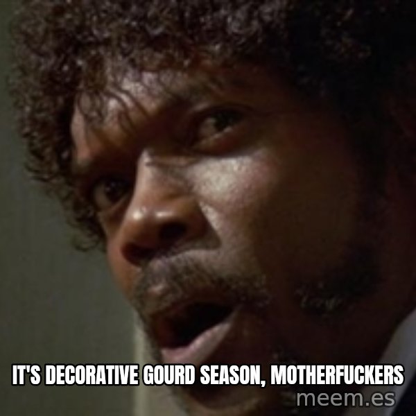 Angry Samuel L Jackson meme: it's decorative gourd season, motherfuckers