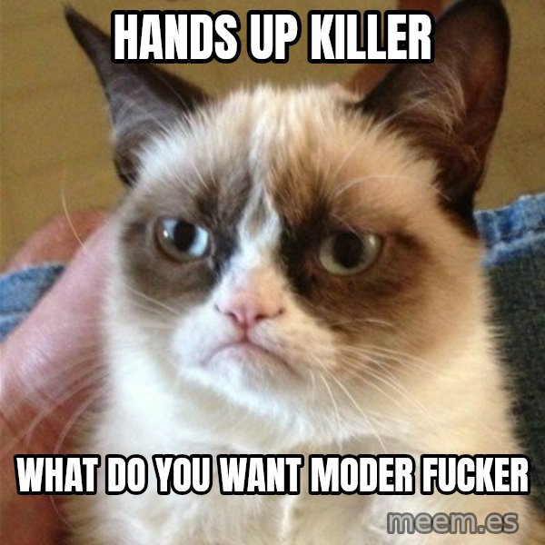 Grumpy Cat  meme: hands up killer / what do you want moder fucker