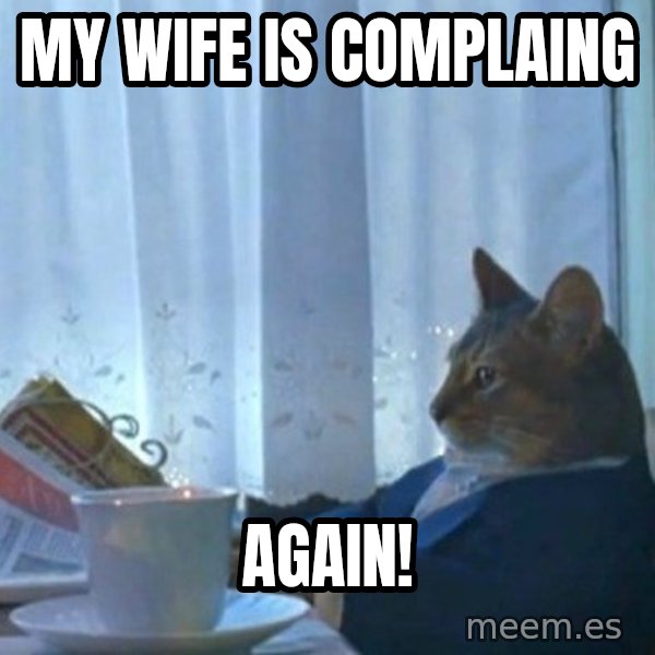 newspaper cat realization meme: my wife is complaing / again!
